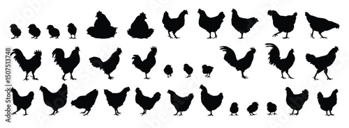 hen or chicken, rooster and chicks silhouette set. hen, rooster and chicks isolated farm animal silhouette icon vector collection
