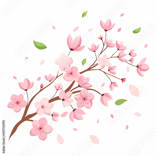 cherry blossom branch