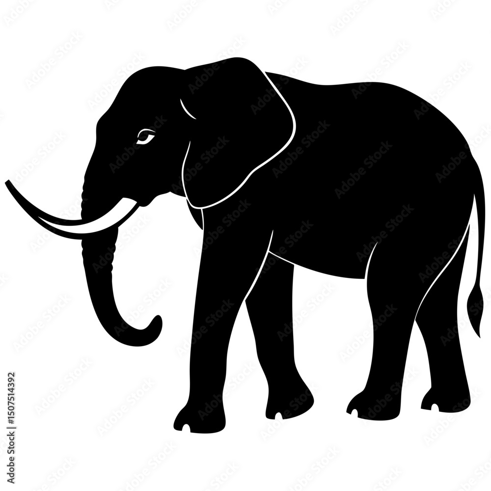 Fototapeta premium elephant vector illustration