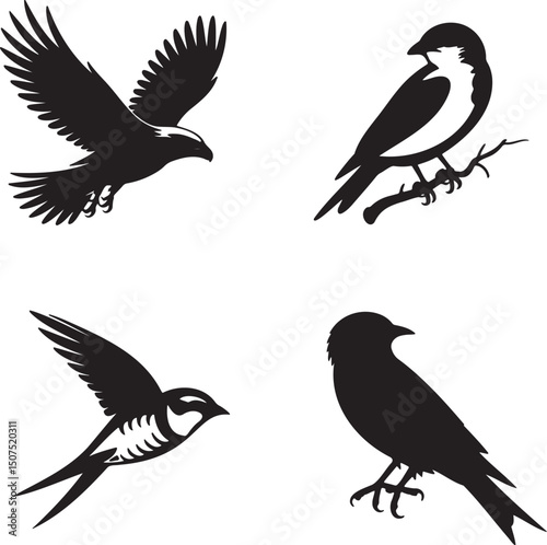Birds silhouette set vector illustration isolated On Transparent Background