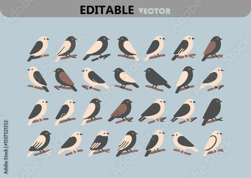 Collection of cute bird illustrations perched on branches