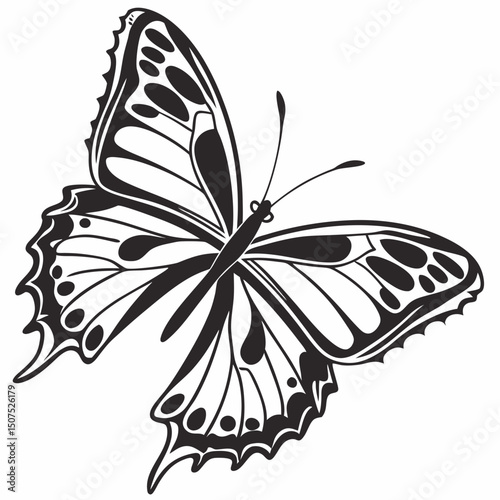 Butterfly Stencil Design Black Vector