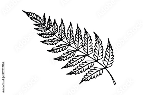 Hand drawn fern leaf illustration with a natural and simple design suitable for various projects.