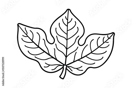 Simple black and white illustration of a papaya leaf against a white background