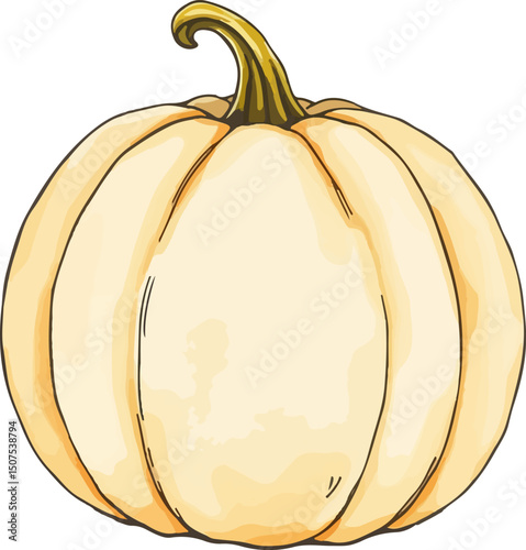 Cute hand drawn pumpkin.