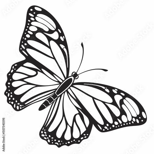 Insect Vector Silhouette Butterfly