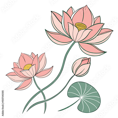 Soft Pink Lotus Flower Vector Art