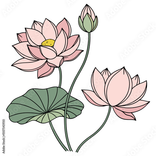 High-Quality Lotus Flower Design Element