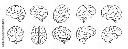 brain icon doodle hand drawn set. Outline drawing brain line clipart symbol collection