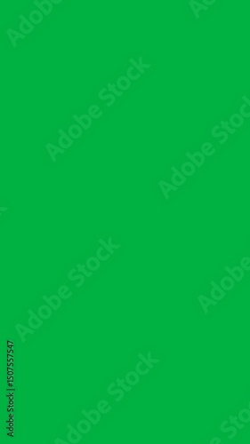 vertical Doller money animation, motion animation, cash icon isolated on no background with alpha channel in green screen backround