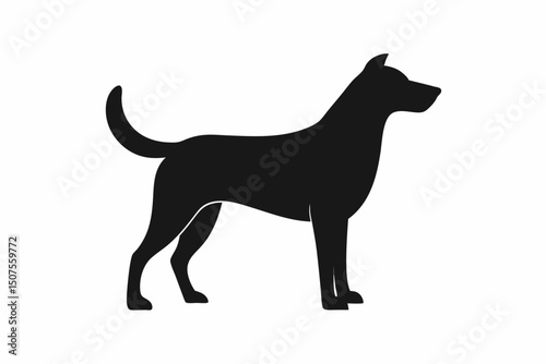 domestic pets walking sitting postures