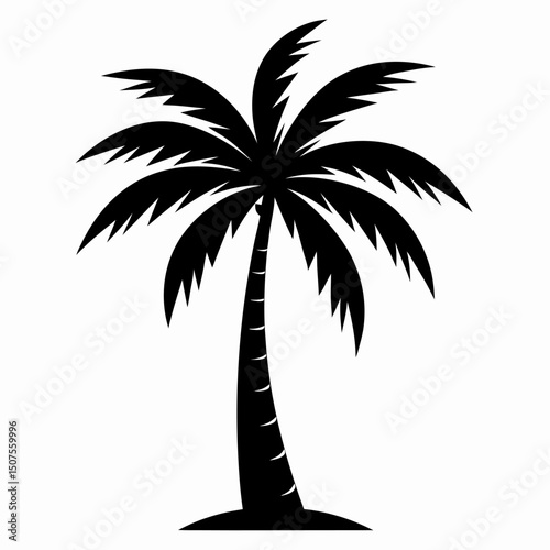 palm tree silhouette
