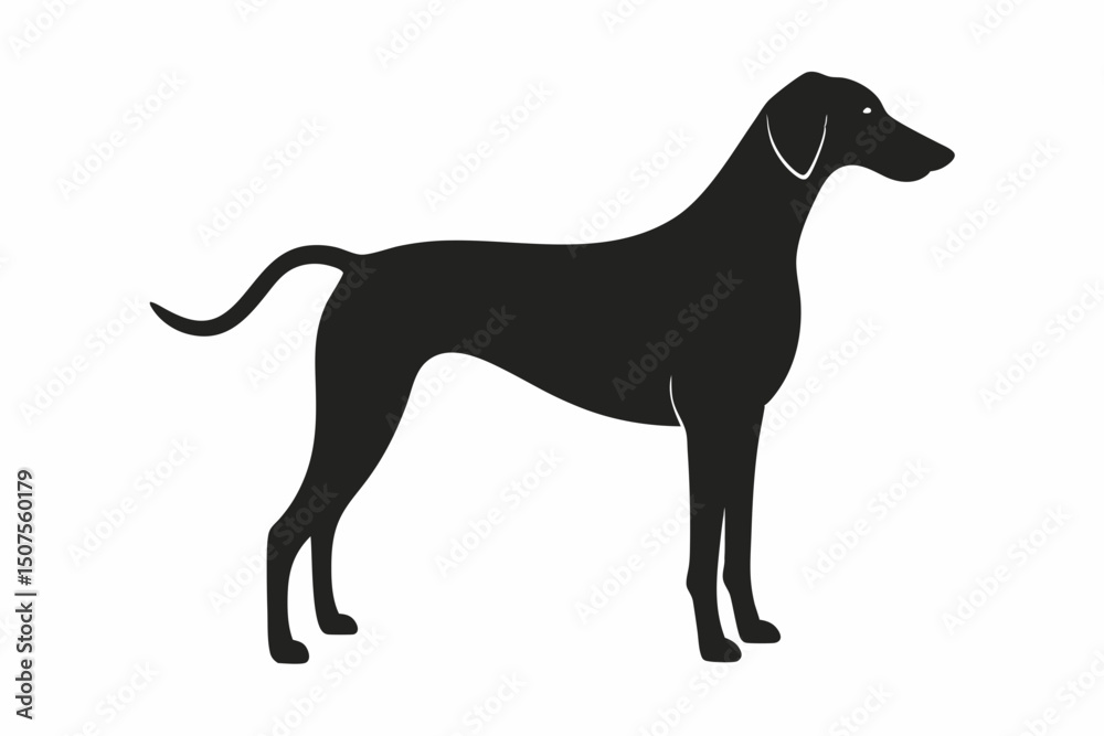 Naklejka premium black dog isolated on white