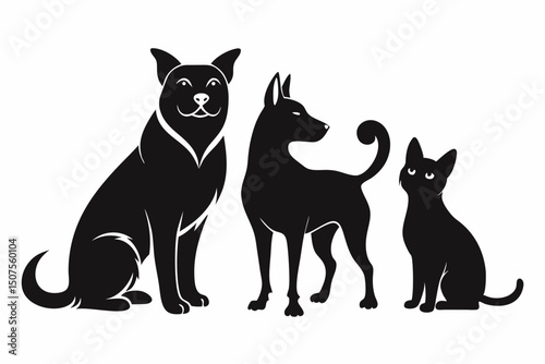 black and white cats