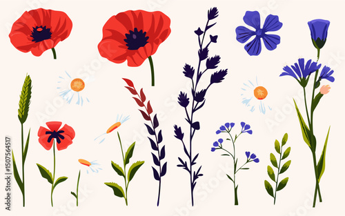 Wildflower Collection: Red Poppies, Blue Flax, Daisies & More