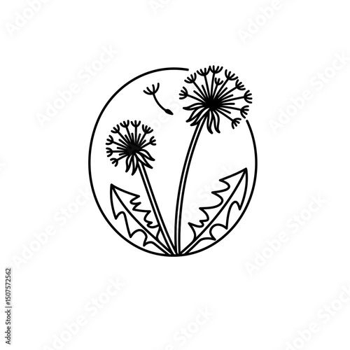 Outline of dandelions with leaves in minimalistic style concept of icon  