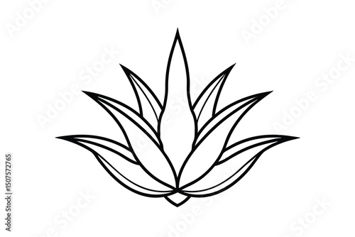 Simple line drawing of an agave plant succulent