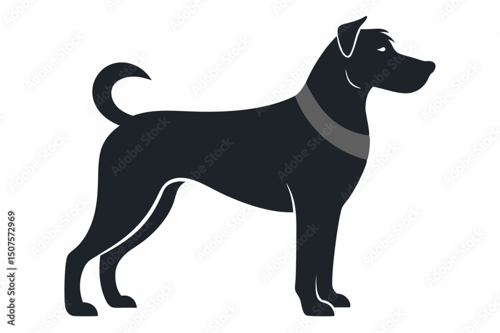 medium sized dog in proud stance medium sized dog in proud stance