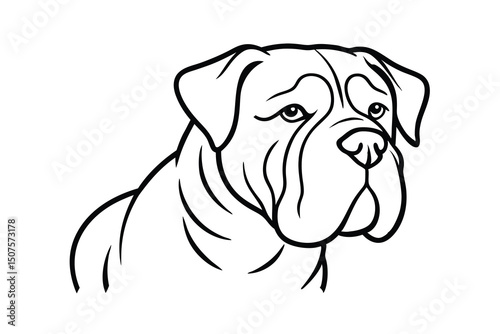 Majestic bulldog head line art dog breed illustration