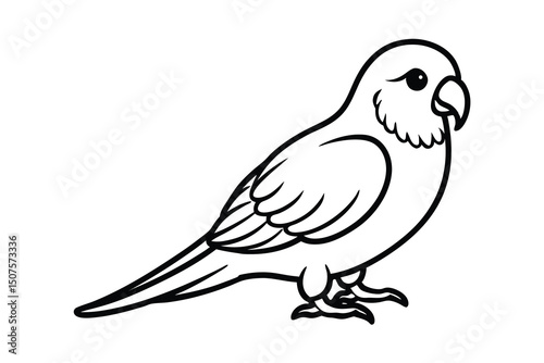 Adorable budgie parrot line art illustration for coloring pages