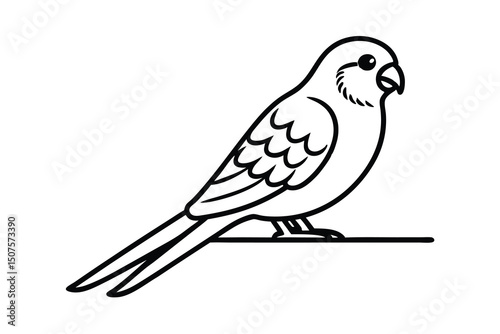 Line art illustration of a budgie perched on a branch