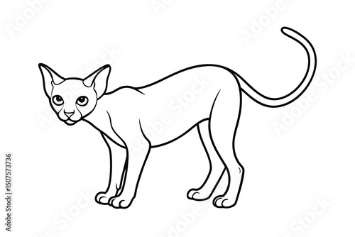 Elegant sphynx cat outline drawing pet animal graphic
