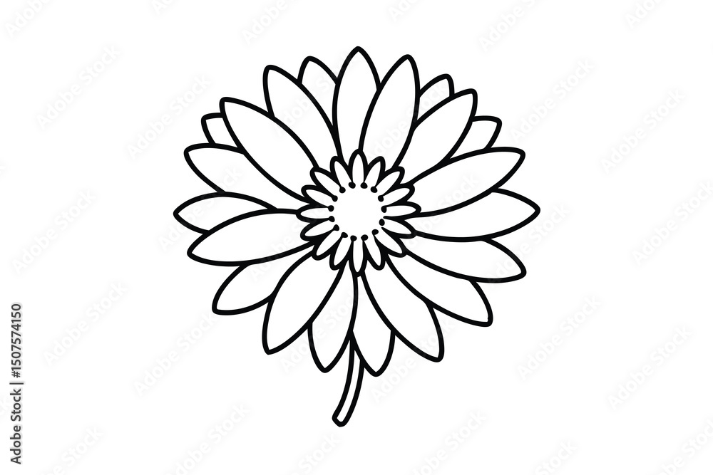 Fototapeta premium Simple line drawing of a beautiful daisy flower