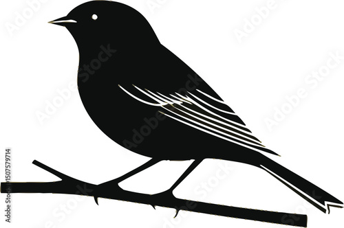  Black silhouette of perched bird on branch with feather detail