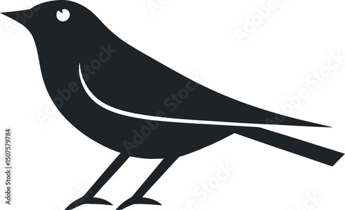 Black silhouette of bird in side view with long tail