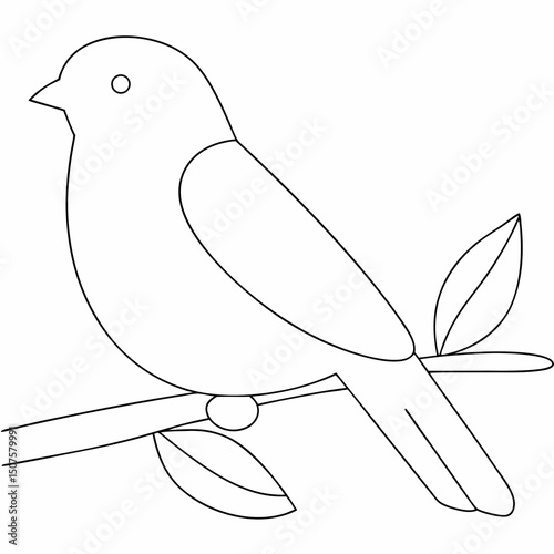 Bird perched on a branch coloring page simple and minimal line art illustration on white background