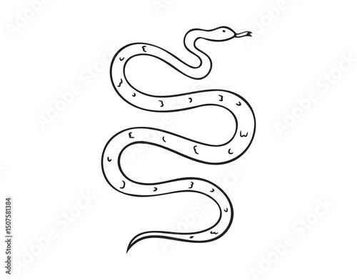 Hand drawn doodle snake top view icon. Outline drawing isolated snake on white background.