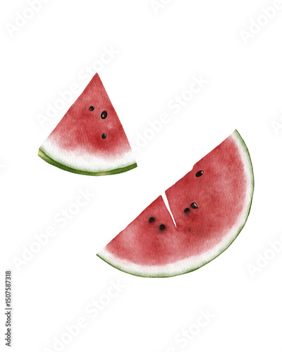 Watercolor illustration of juicy watermelon slices. Hand-painted red watermelon pieces with seeds and green rind, isolated on transparent background. Ideal for summer-themed designs, food packaging