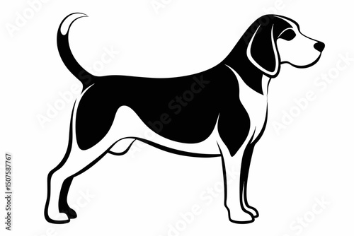 Standing beagle dog in side profile