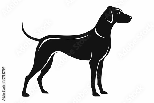 Strong hound in side profile stance