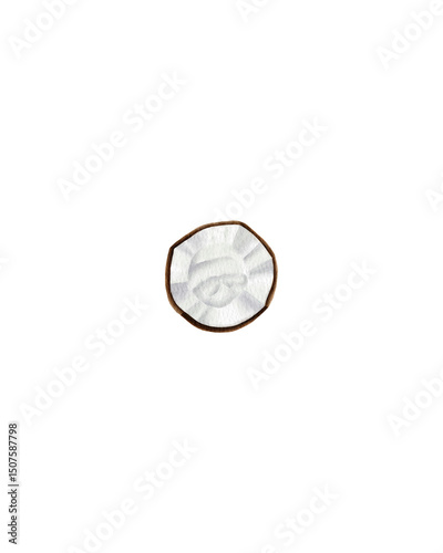  Watercolor illustration of a coconut slice, showing white flesh with brown husk