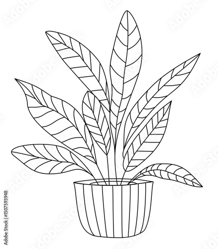 Black and white vector illustration of a potted houseplant with large patterned leaves. Perfect for coloring books, eco designs, and educational projects.