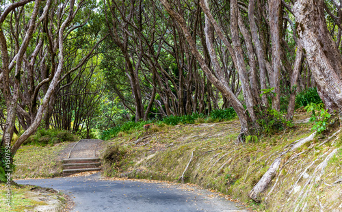 Wellington Botanic Gardens and Carter Observatory in Wellington, New Zealand.