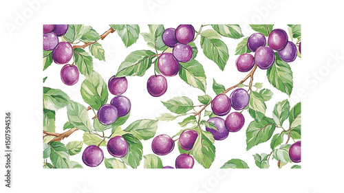 Watercolor Seamless Pattern of Plums on Branches