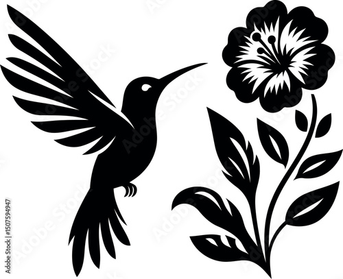 Hummingbird Hovering Near Hibiscus Flower in Silhouette