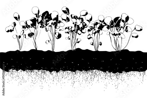 Algae farms absorbing atmospheric carbon, vector illustration