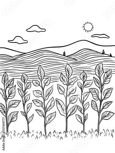 Diverse crops planted in rotation pattern, vector illustration