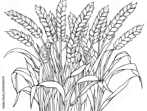 Grain contracts determining regional fate, black vector graphic