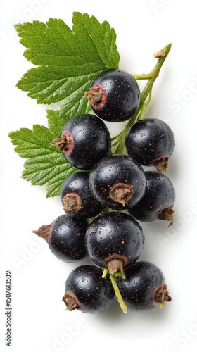 Clusters of Fresh Black Currants With Green Leaves on a White Background