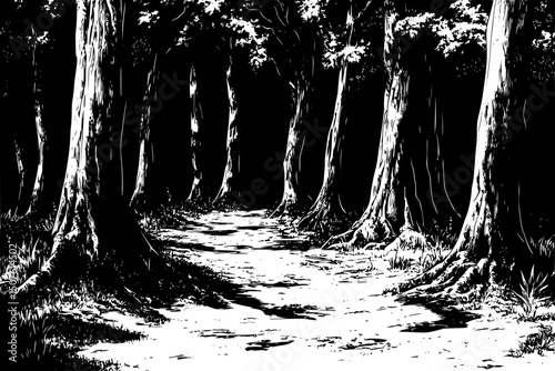 Dense forest with old growth trees, black vector graphic