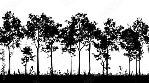 New saplings among mature trees, vector illustration art