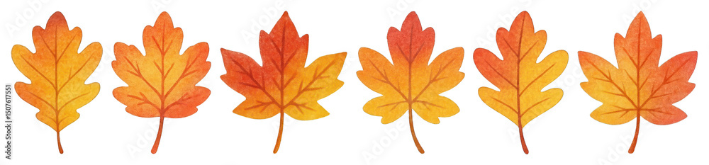 Fototapeta premium PNG Autumn leaves seamless border, element set on transparent background