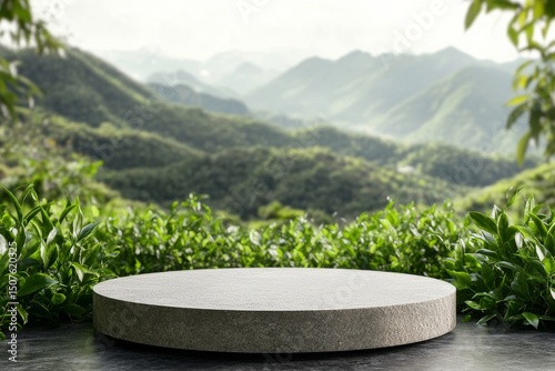 Scenic View of Mountains With Stone Display Platform Surrounded by Lush Greenery