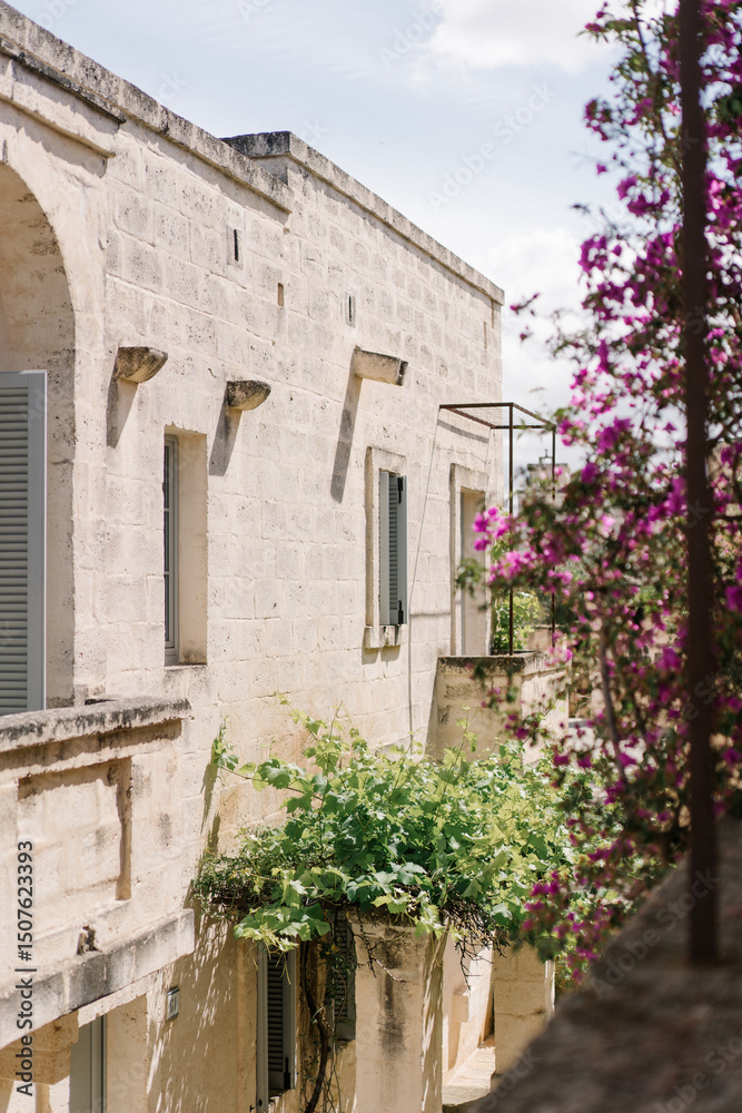 Fototapeta premium old house in the italian village in spring