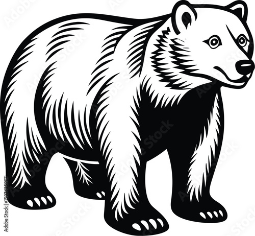 polar bear vector design