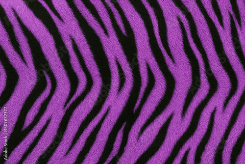 Purple Tiger Fur Texture. Animal Print. Background. Wallpaper.